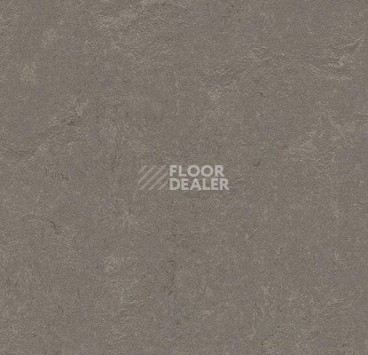 Линолеум Forbo Marmoleum Decibel 370535 meteorite фото 1 | FLOORDEALER