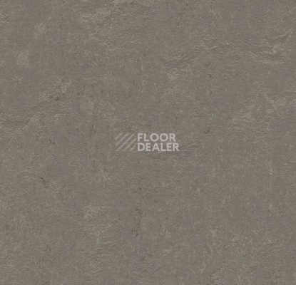 Линолеум Forbo Marmoleum Decibel 370535 meteorite фото 1 | FLOORDEALER