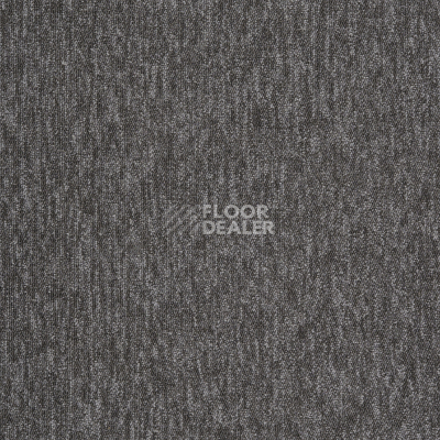 Ковровая плитка Carus Pro Projects 960 Grey фото 1 | FLOORDEALER