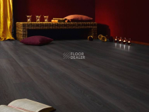 Kronotex Exquisit 8мм d2804 Дуб Стирлинг фото 4 | FLOORDEALER