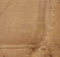 Линолеум Polyflor Kudos 1907 фото 1 | FLOORDEALER