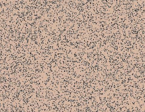 Линолеум Polyflor Polysafe Standard Pur 4520 фото 1 | FLOORDEALER