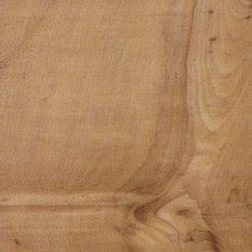 Линолеум Polyflor Kudos 1907 фото 1 | FLOORDEALER