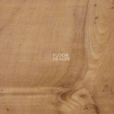 Линолеум Polyflor Kudos 1907 фото 1 | FLOORDEALER