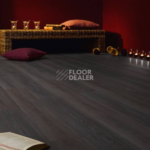 Kronotex Exquisit 8мм d2804 Дуб Стирлинг фото 4 | FLOORDEALER