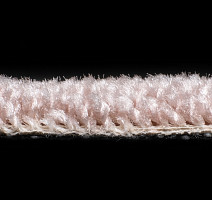 AW Masquerade Messalina 60 фото 5 | FLOORDEALER