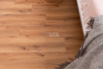 Vinilpol Glue 2мм 8833 EIR ДУБ САН-РЕМО фото 8 | FLOORDEALER