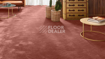Vorwerk Exclusive 1060 Safira 1n27 фото 2 | FLOORDEALER