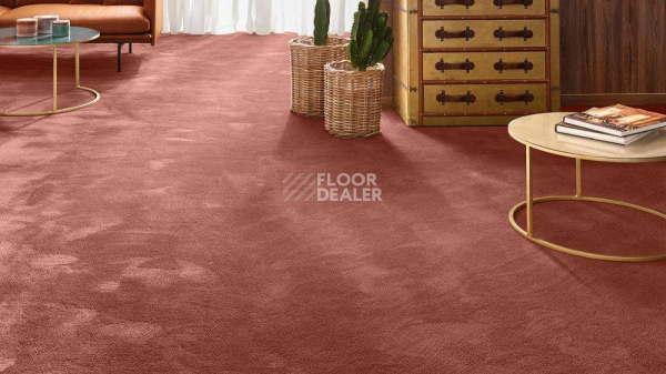 Vorwerk Exclusive 1060 Safira 1n27 фото 2 | FLOORDEALER