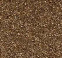 Ковролин AW Gala Equator 42 фото 1 | FLOORDEALER