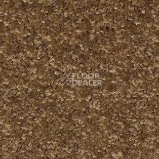 Ковролин AW Gala Equator 42 фото 1 | FLOORDEALER