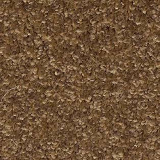 Ковролин AW Gala Equator 42 фото 1 | FLOORDEALER