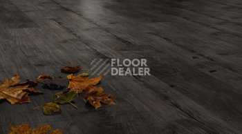 Kronotex Exquisit 8мм d4171 Тик Ностальгия Графит фото 3 | FLOORDEALER
