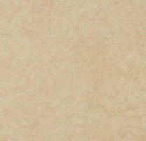 Линолеум Forbo Eternal Original 68802 dune фото 1 | FLOORDEALER