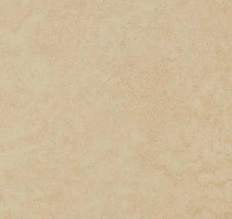 Линолеум Forbo Eternal Original 68802 dune фото 1 | FLOORDEALER