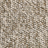 Ковролин Balsan Santa Fe DD Santa Fe dd 730 фото 1 | FLOORDEALER