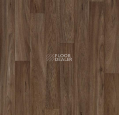 Линолеум Forbo Eternal Original 10452 dark oak фото 1 | FLOORDEALER