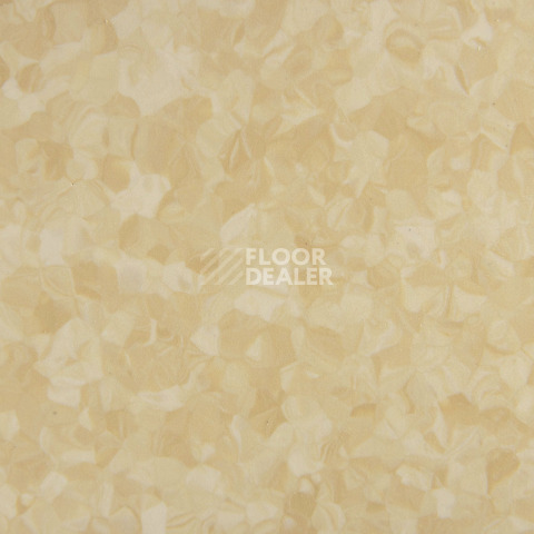 Tarkett iq Melodia 2644 фото 3 | FLOORDEALER