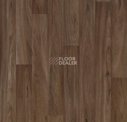 Линолеум Forbo Eternal Original 10452 dark oak фото 1 | FLOORDEALER