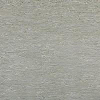 Линолеум Tarkett Alfa Standard Alfa 101 фото 1 | FLOORDEALER