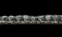 Desso Desert 9502 фото 4 | FLOORDEALER