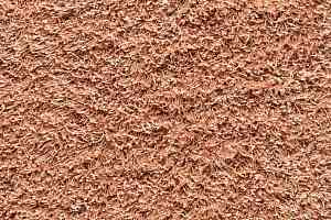 Ковролин ITC Satino Iseo Satino Iseo 065 фото  | FLOORDEALER