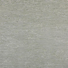 Линолеум Tarkett Alfa Standard Alfa 101 фото 1 | FLOORDEALER