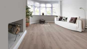 Kronotex Mammut Plus d4727 Дуб Горный Серый фото 8 | FLOORDEALER