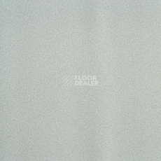 Линолеум Lg Calmpasso CP 93507 фото 1 | FLOORDEALER