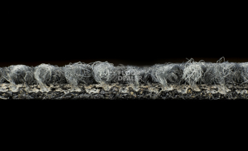 Desso Desert 9502 фото 4 | FLOORDEALER