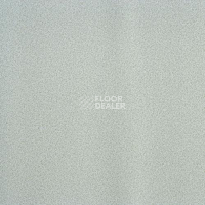 Линолеум Lg Calmpasso CP 93507 фото 1 | FLOORDEALER