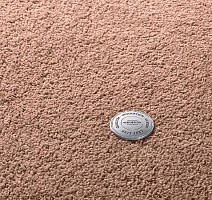 Ковролин Vorwerk Superior 1065/Viola Vorwerk 8h49 фото 1 | FLOORDEALER