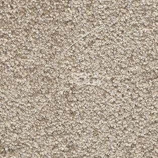 Ковролин AW Tendresse 39 фото 1 | FLOORDEALER