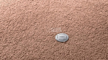 Ковролин Vorwerk Superior 1065/Viola Vorwerk 8h49 фото 1 | FLOORDEALER