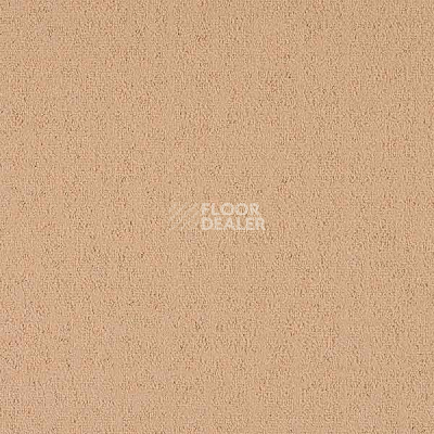 Ковровая плитка Interface Menagerie 304922 фото 1 | FLOORDEALER