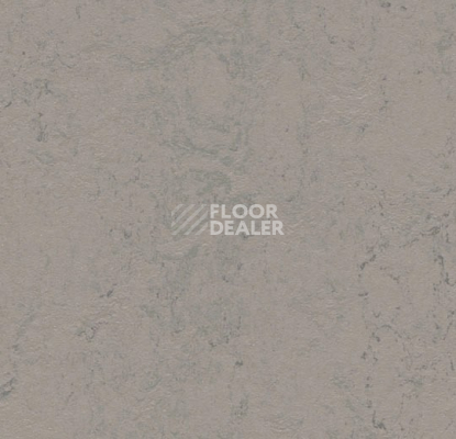 Линолеум Forbo Marmoleum Solid Concrete 3704 satellite фото 1 | FLOORDEALER