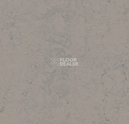 Линолеум Forbo Marmoleum Solid Concrete 3704 satellite фото 1 | FLOORDEALER