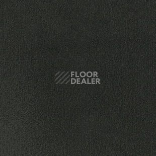 Ковролин Desso Asteranne 9990 фото 1 | FLOORDEALER