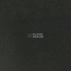 Ковролин Desso Asteranne 9990 фото 1 | FLOORDEALER