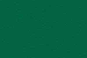 Линолеум Taraflex evolution Uni 6557_Forest фото  | FLOORDEALER