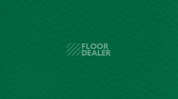 Линолеум Gerflor Taraflex evolution Uni 6557_Forest фото 1 | FLOORDEALER