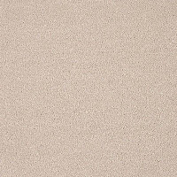 Ковролин Lano Pleasure Ple 0250 фото 1 | FLOORDEALER