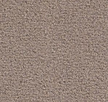 Ковролин Balsan Les Greens II Confort Les Greens II 758 фото 1 | FLOORDEALER