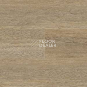 Линолеум Polyflor Expona Wood 6179 фото 1 | FLOORDEALER