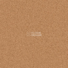 Линолеум Tarkett Primo Plus 303 фото 1 | FLOORDEALER