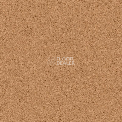 Линолеум Tarkett Primo Plus 303 фото 1 | FLOORDEALER