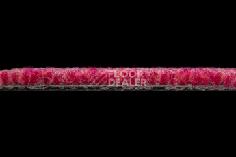 Balsan Season - Summer / Winter 550 фото 3 | FLOORDEALER