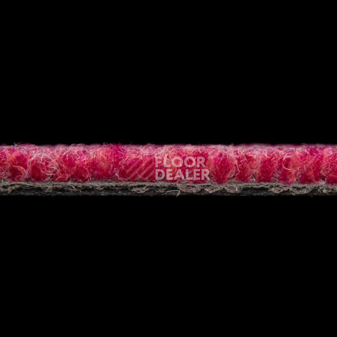 Balsan Season - Summer / Winter 550 фото 3 | FLOORDEALER