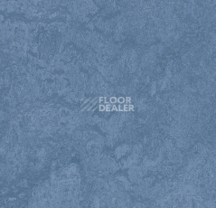 Линолеум Forbo Marmoleum Sport 83056 blue фото 1 | FLOORDEALER