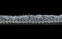 IVC Liberate 559 фото 6 | FLOORDEALER